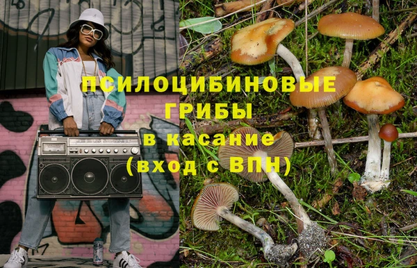 гашик Михайловск