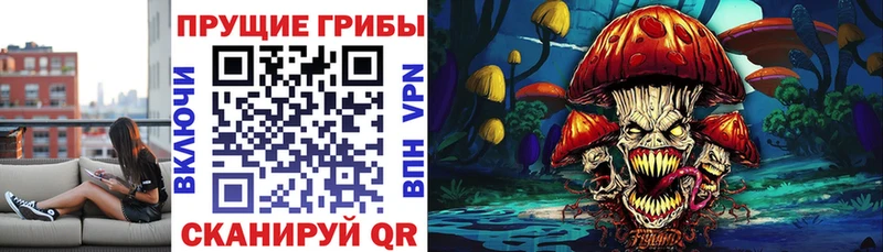 наркотики  blacksprut сайт  даркнет официальный сайт  Правдинск  Галлюциногенные грибы Magic Shrooms 